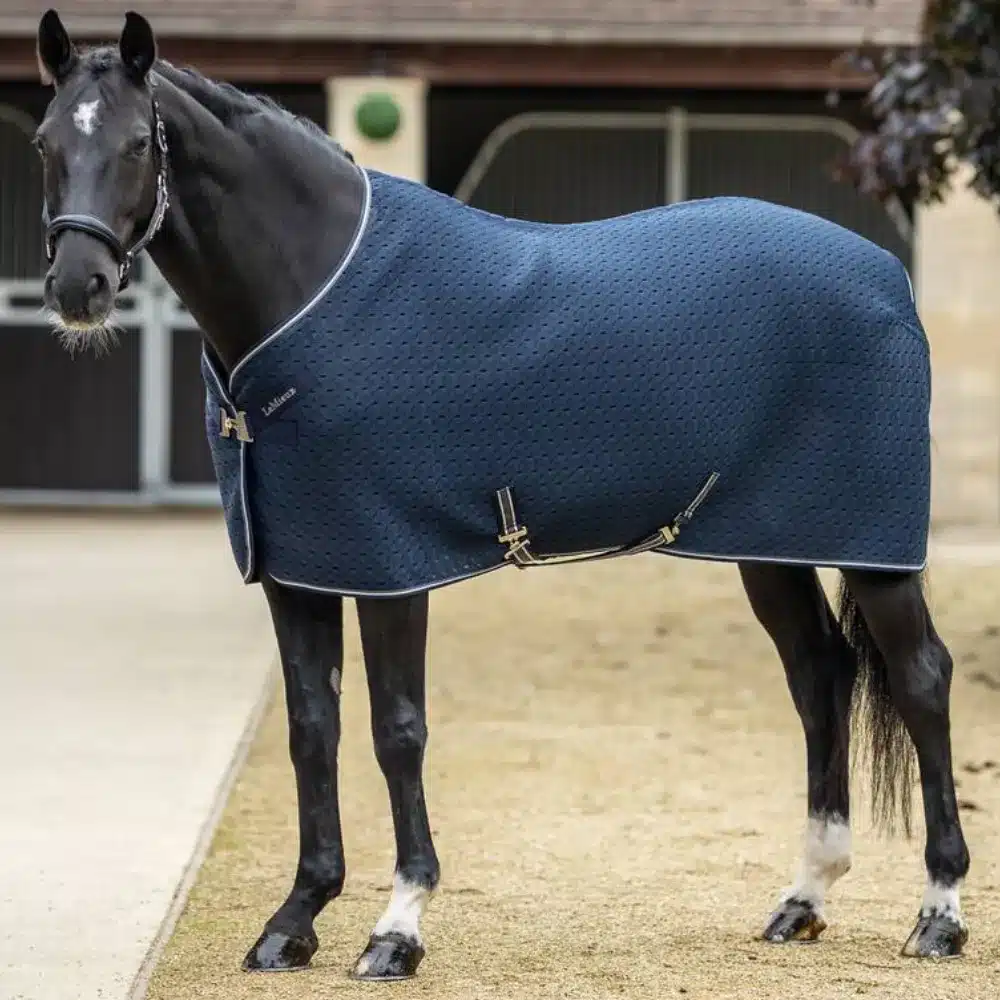 LeMieux Kudos 3D Mesh Travel Rug Navy