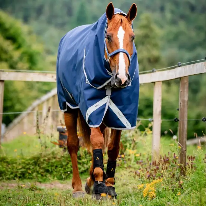Amigo Bravo 12 Plus Medium 250g Turnout Navy Grey