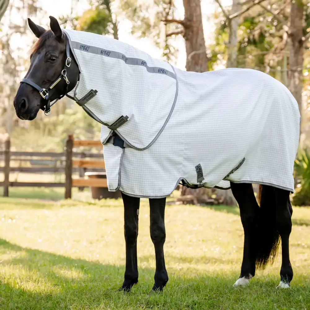 Amigo Summer Sheet Plus Navy Check Grey
