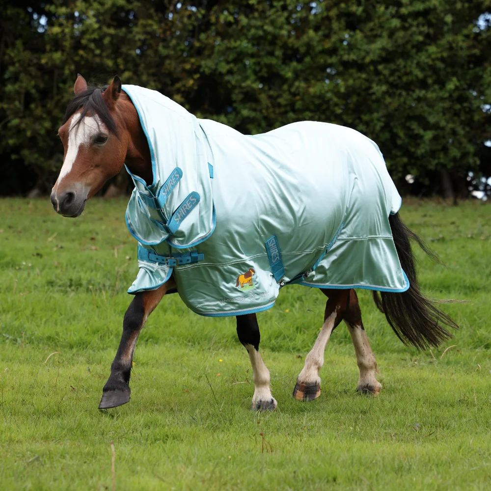 Shires Winnie & Me Fly Combo Rug Blue