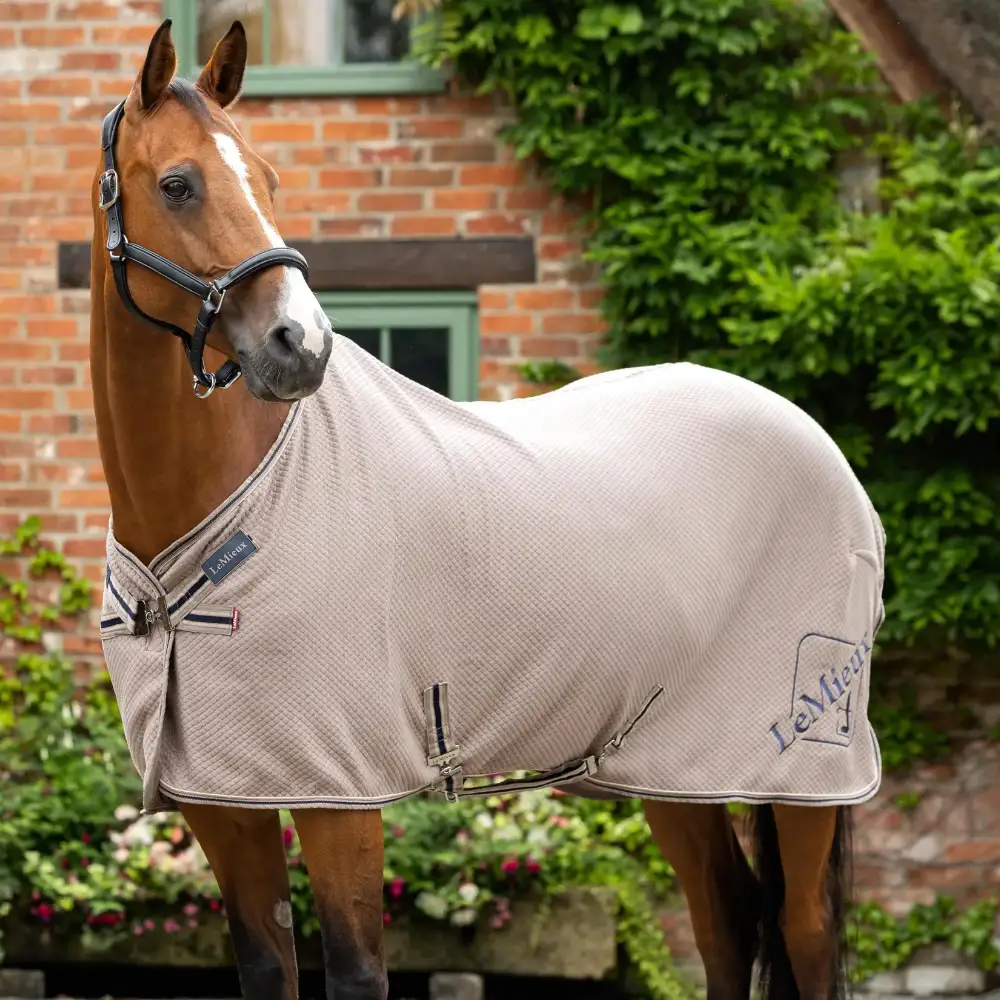 LeMieux Kudos Bamboo Cooler Rug Pecan
