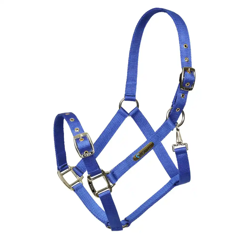 Shires ARMA Adjustable Headcollar Blue