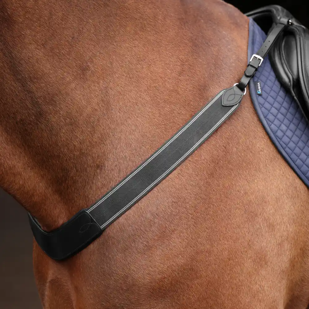 Shires Velociti Rapida Elastic Breastgirth Black
