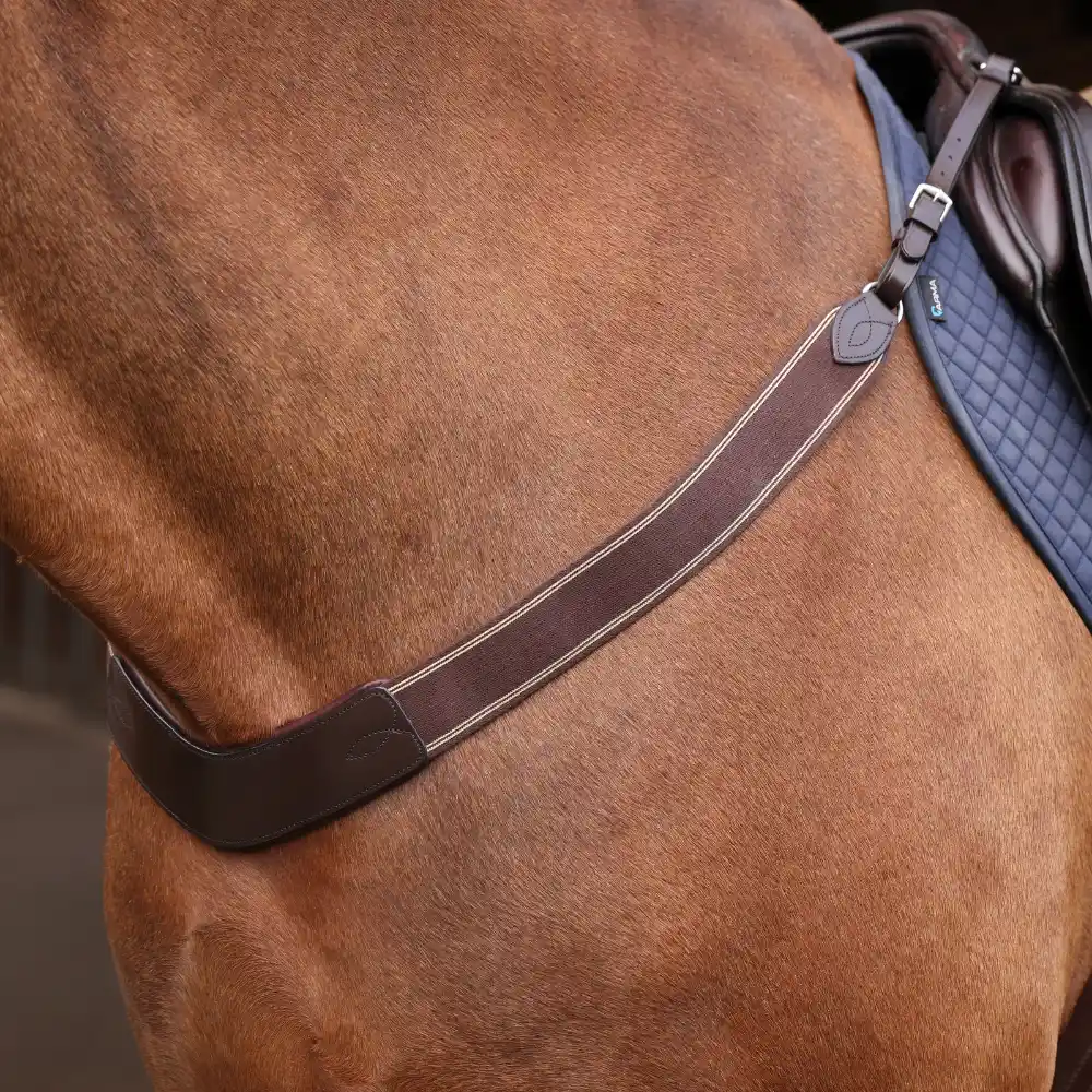 Shires Velociti Rapida Elastic Breastgirth Havana