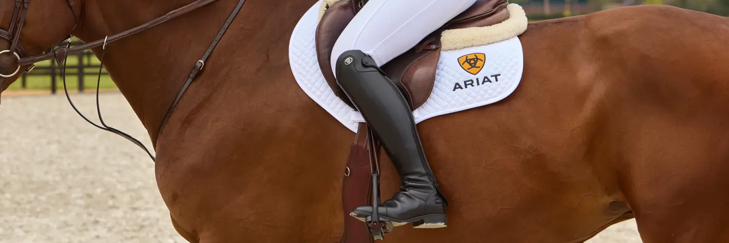 Ariat Palisade Riding Boots