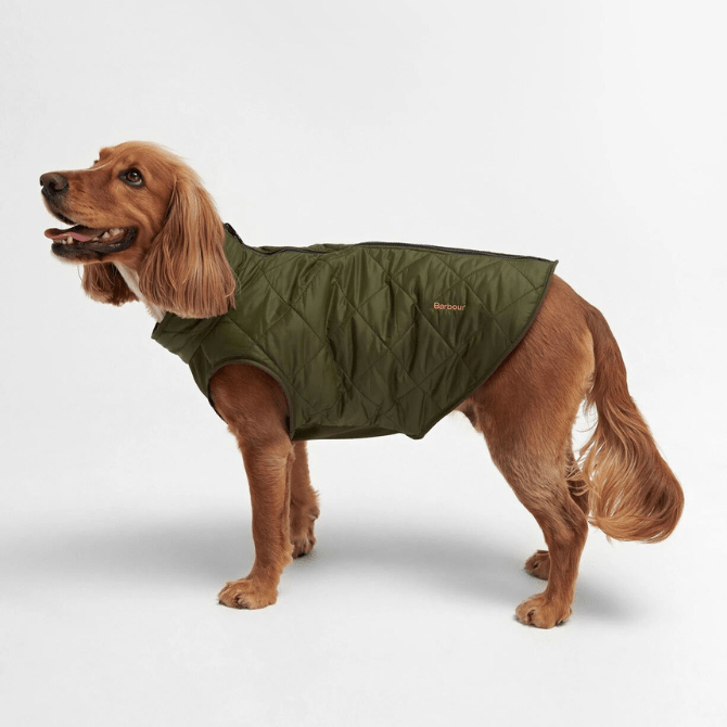 Barbour Reversible Quilted Borg Fleece Dog Coat, Olive Brown. DCO0077OL71