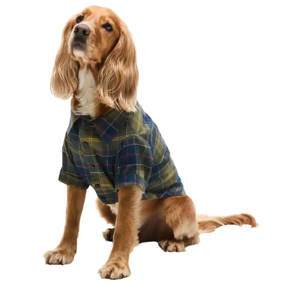 Barbour Tartan Fortrose Dog Shirt Classic Tartan
