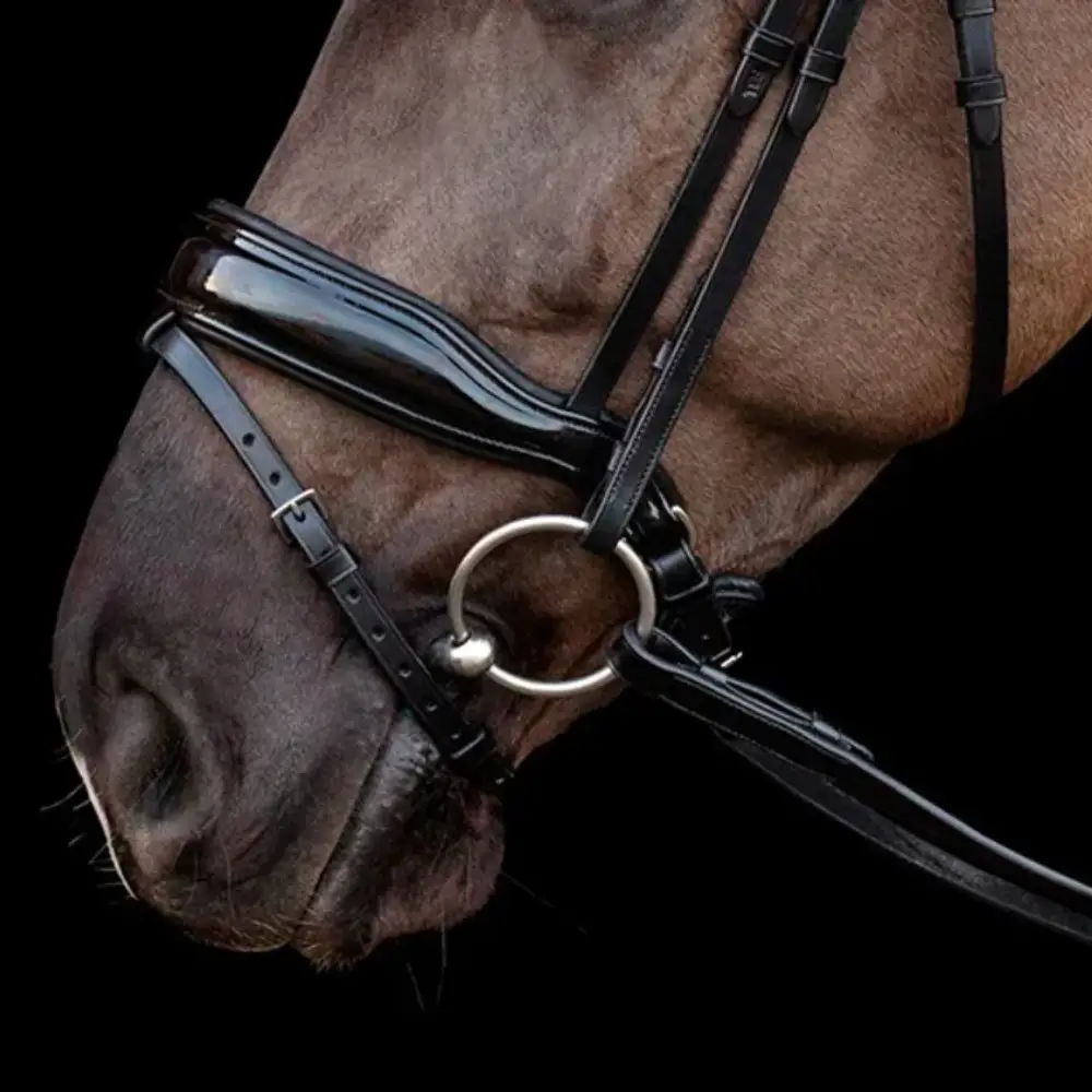 BRIDLE PARTS