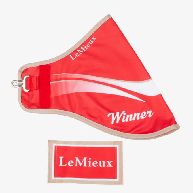 LeMieux Hobby Horse Winners Rug Red