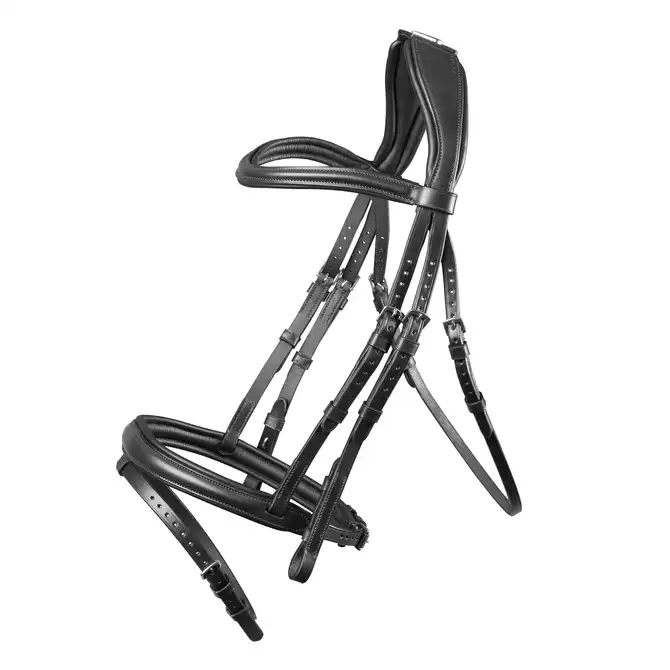 Shires Lusso Padded Raised Flash Bridle Black