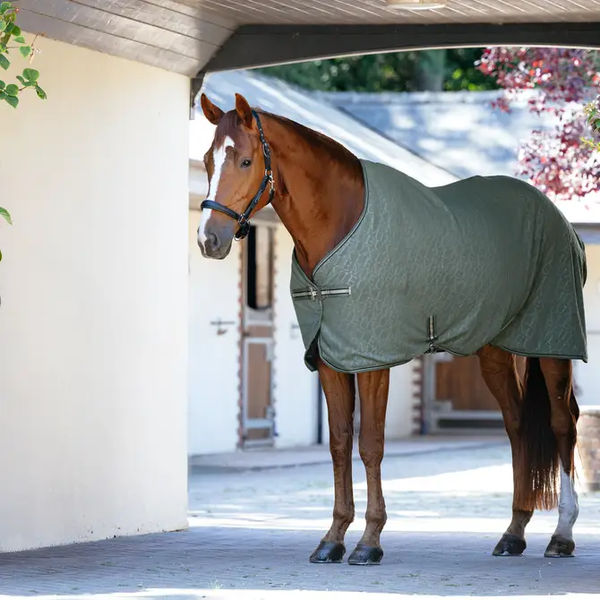LeMieux Arika Monogram Fleece Rug Rosemary