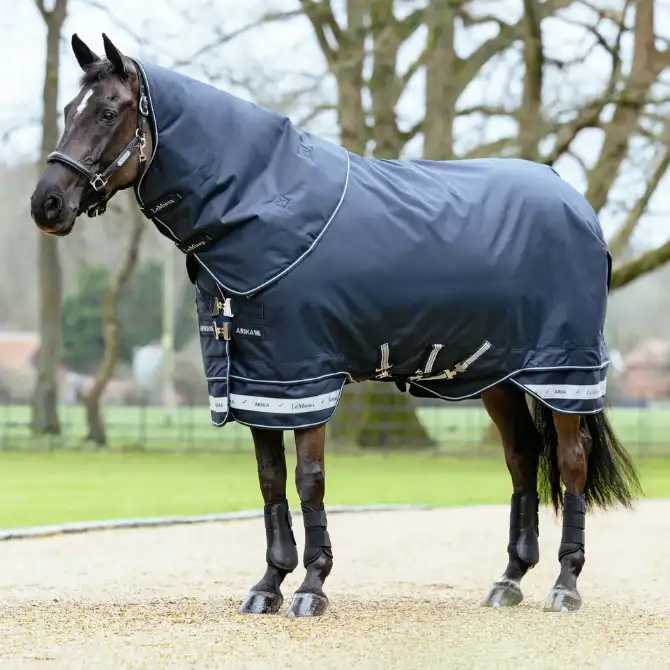 LeMieux Arika Storm-Tek 350g Heavy Turnout Rug Navy