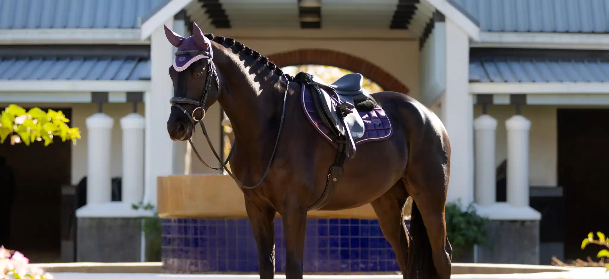 LeMieux Juniper Collection Slider.