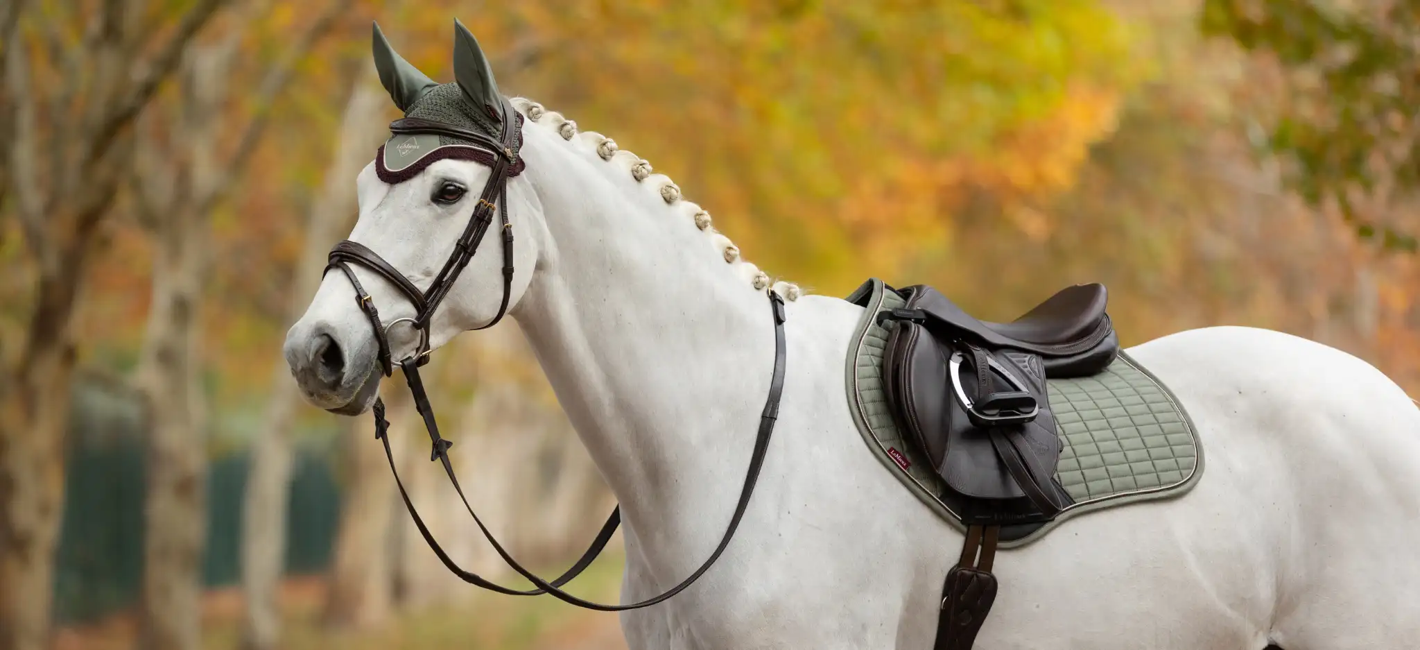 LeMieux Rosemary Slider_Lifestyle