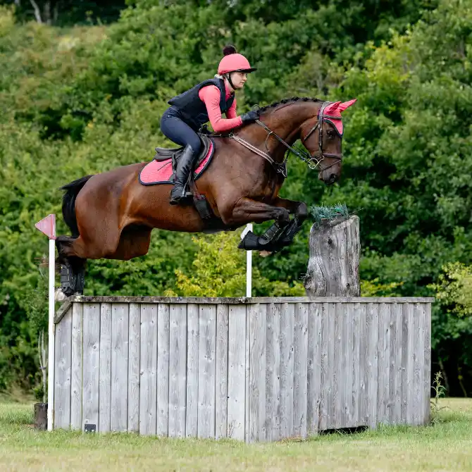 LeMieux Suede Close Contact Saddle Pad Cranberry Lifestyle 2.