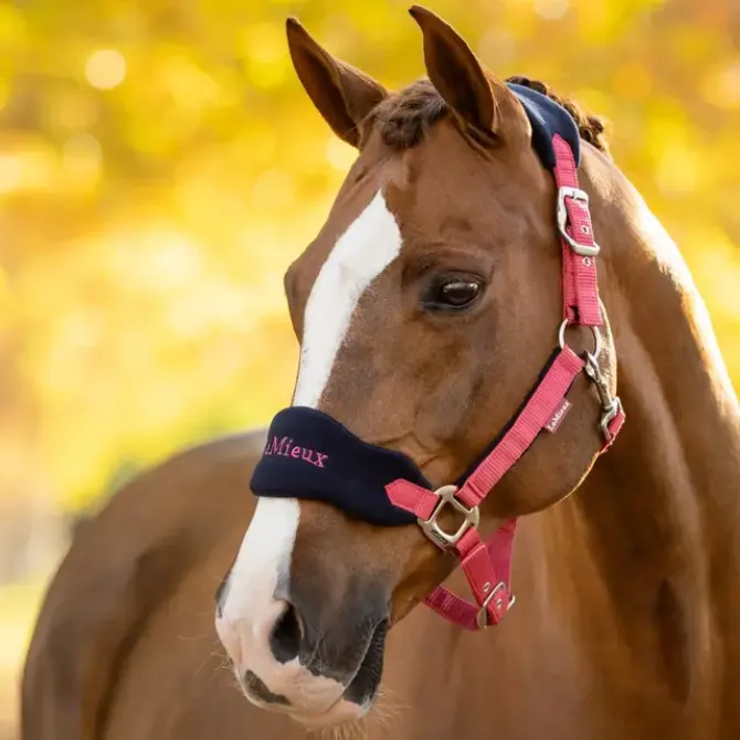 LeMieux Vogue Headcollar & Leadrope Cranberry (2) LeMieux Vogue Headcollar & Leadrope Cranberry (2)