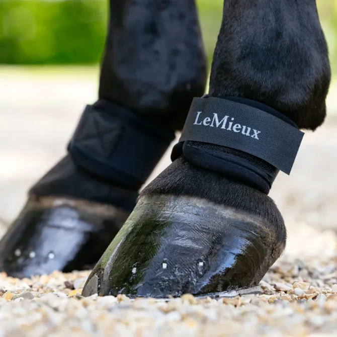 LeMieux Neoprene Pastern Wrap Black