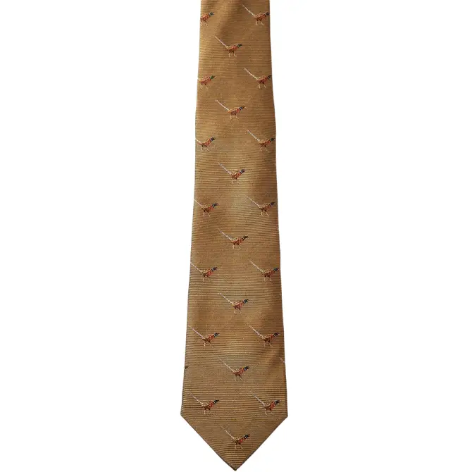 Dubarry Mens Madden Silk Tie Gold
