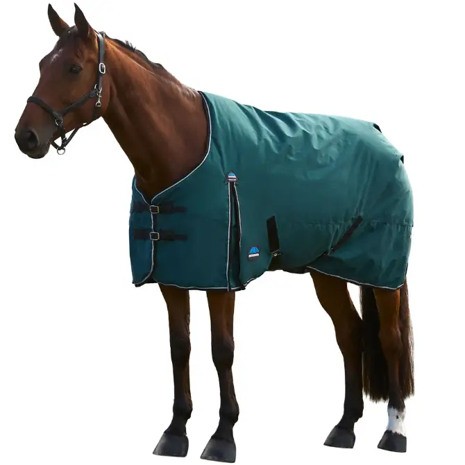 Weatherbeeta Comfitec Classic T/O 220G Forest Green/Black