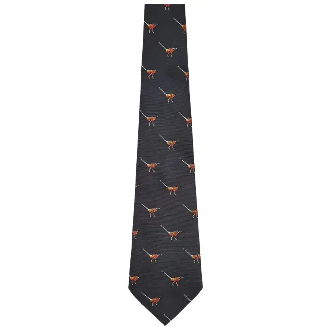 Dubarry Mens Madden Silk Tie Navy