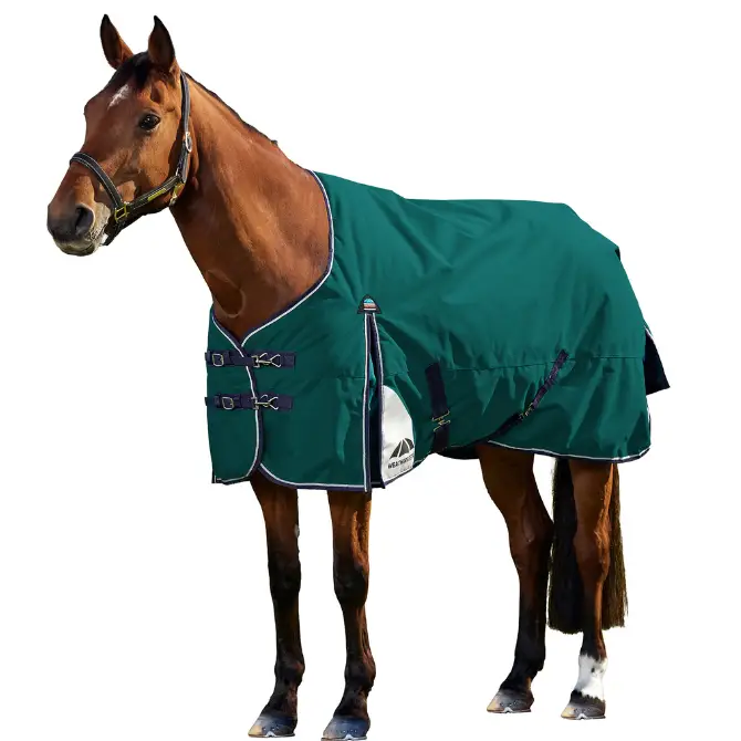 Weatherbeeta Comfitec+ Dynamic Turnout Detatch A Neck 220g Forest Green/Navy