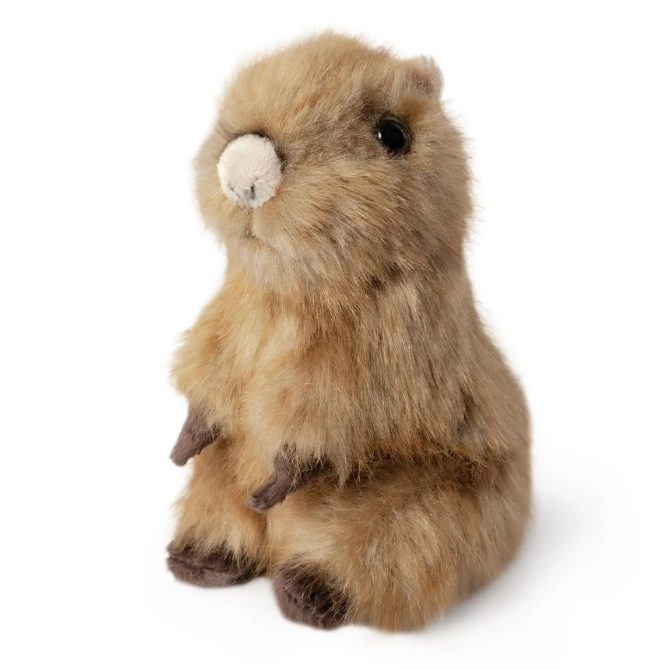 Keycraft Capybara Pup Stuffed Animal Toy