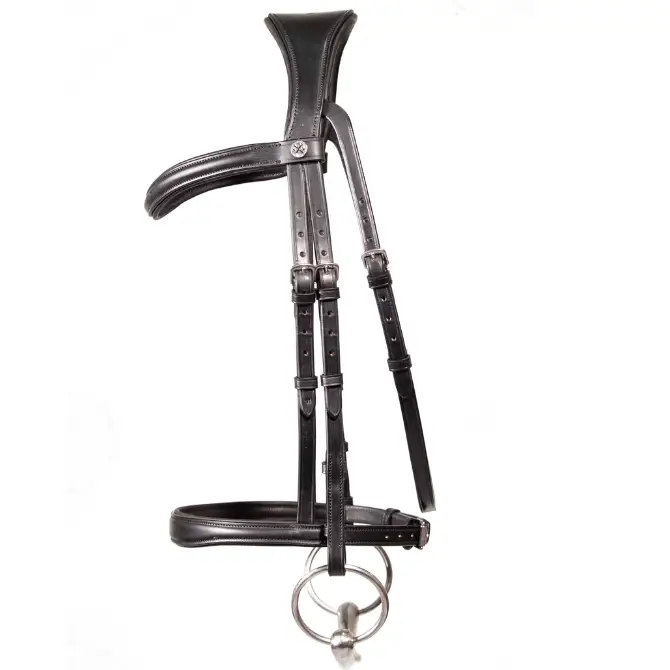 Henry James Cavesson Bridle