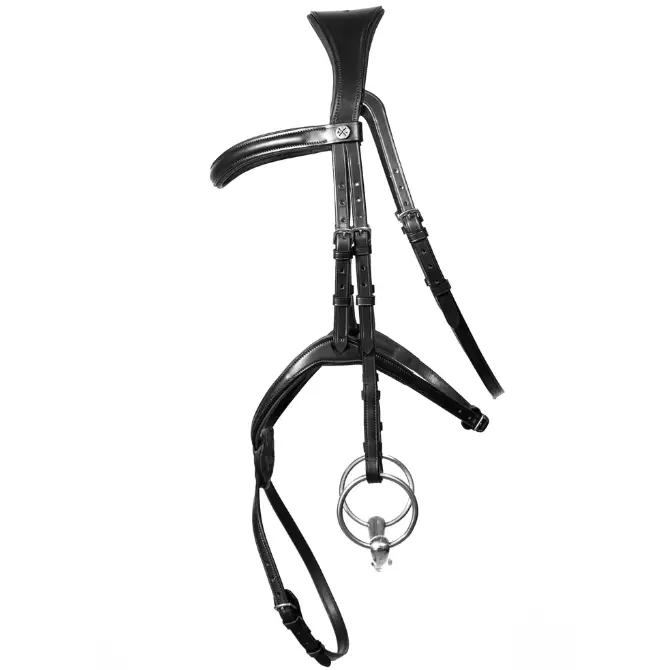 Henry James Grackle Bridle