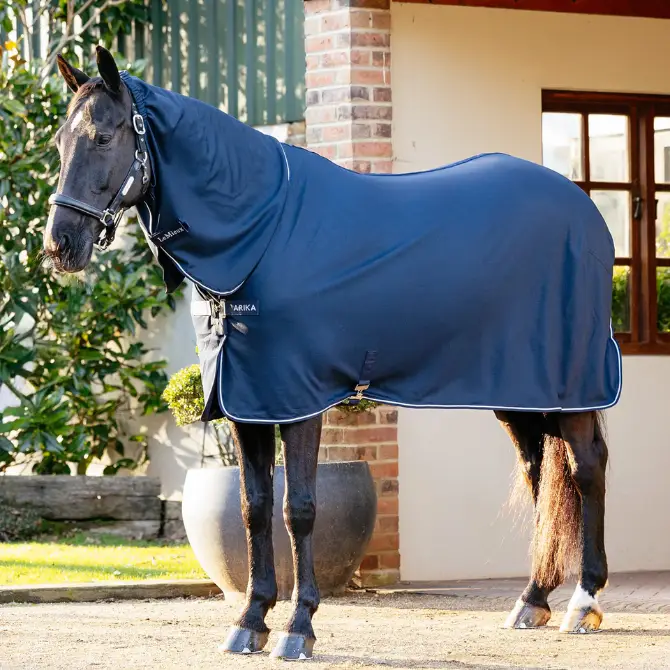 LeMieux Arika DryEase Wicking Rug Navy