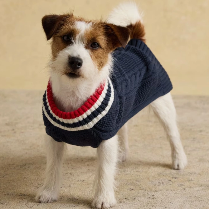 Joules Dawson Dog Knit Jumper Navy Blue