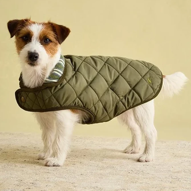 Joules Quilted Dog Coat Khaki