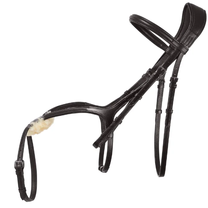 Cameo Superlux Grackle Bridle