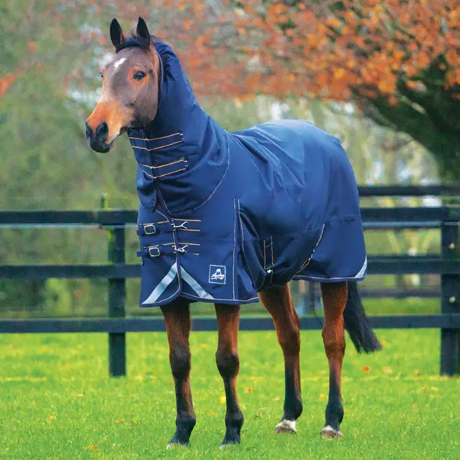 Mackey Wicklow Medium Turnout Rug NavyGold