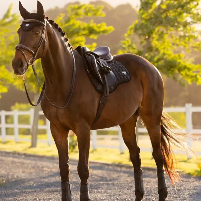 LeMieux Loire Classic GP General Purpose Saddle Pad Black
