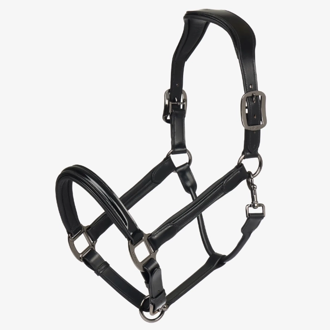 LeMieux Patent Leather Headcollar Black