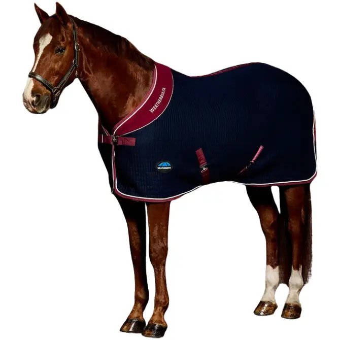 Weatherbeeta Thermocell Cooler Rug Navy/Burgundy