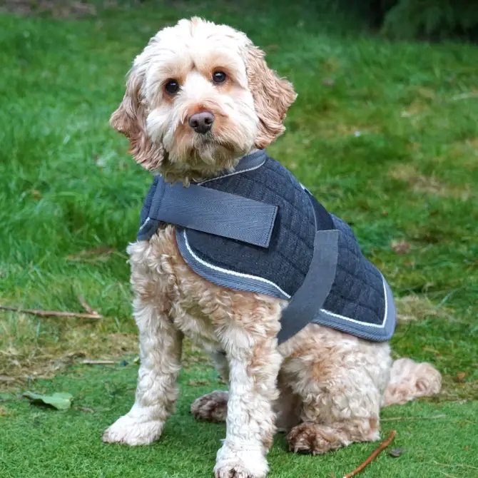 Mackey Thermo Dog Rug Navy