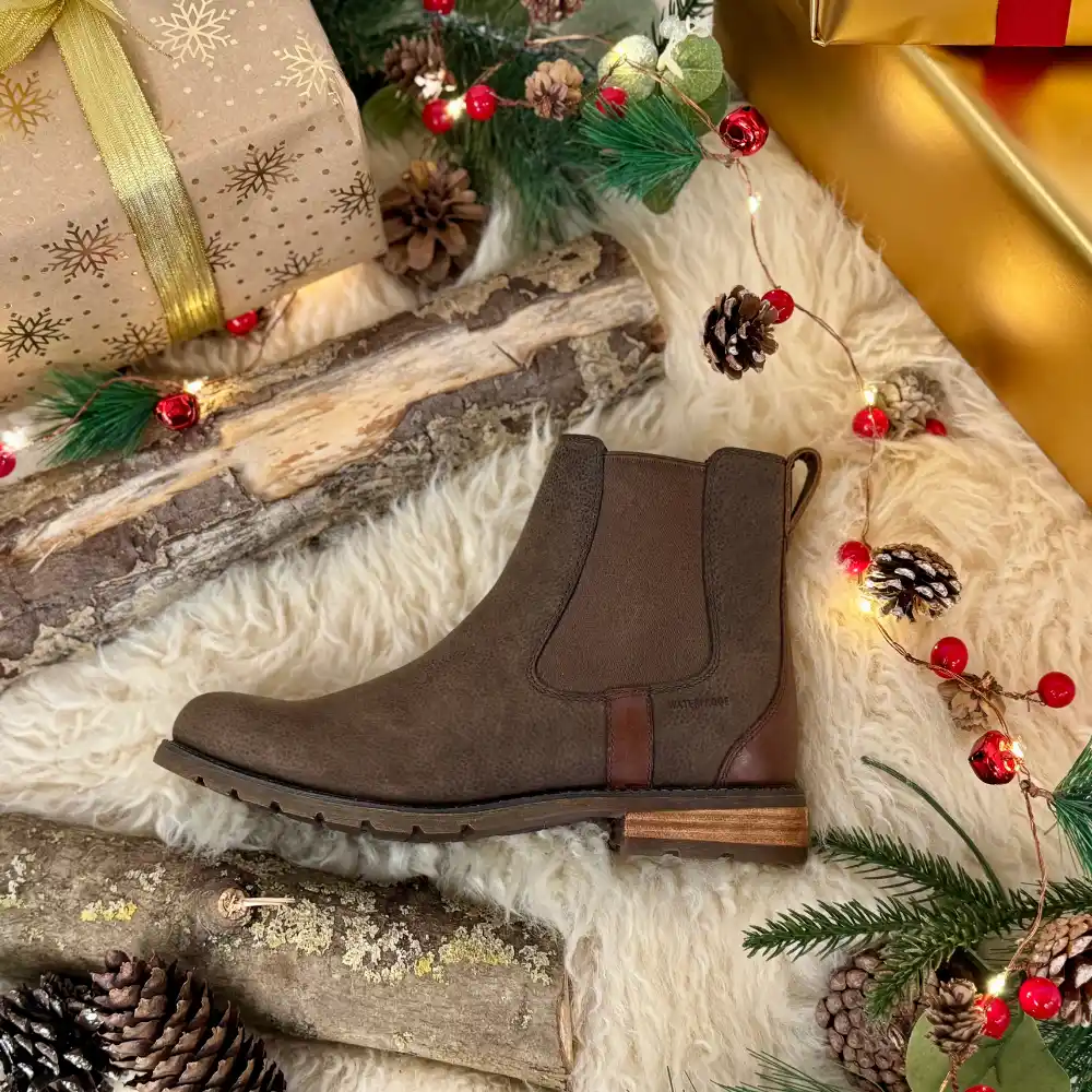 Website POS Box Ariat