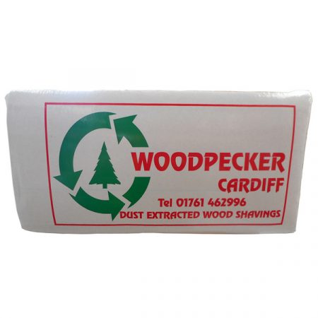 Woodpecker Shavings