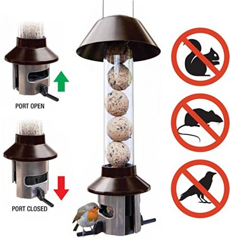 Bird Feeder