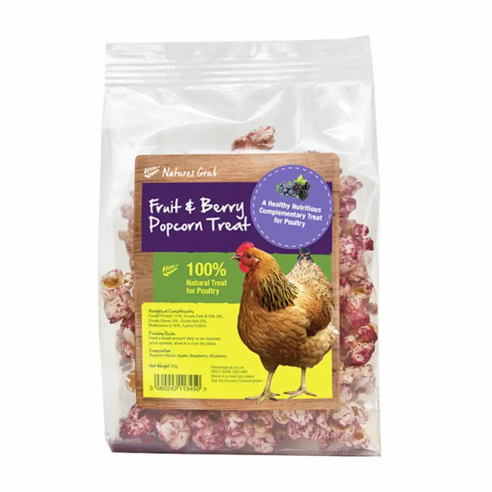 Natures Grub Popcorn Treat With Fruit 20G