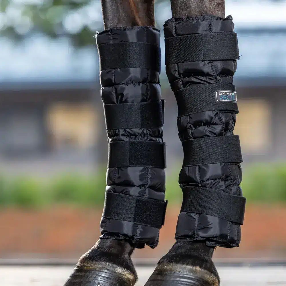 LeMieux Arctic Ice Boots (Pair) Black