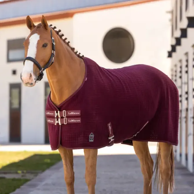 LeMieux Arika Clima Tek Rug Burgundy