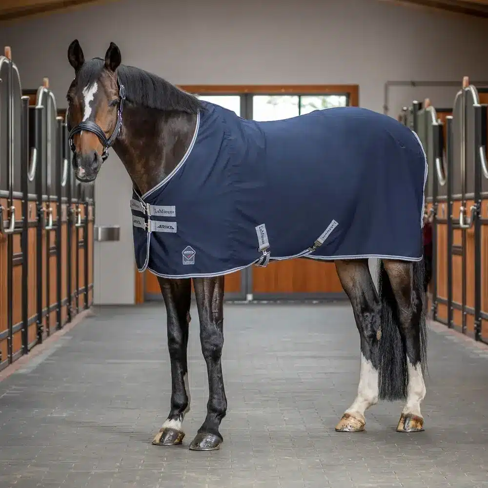 LeMieux Arika Stable Sheet Rug