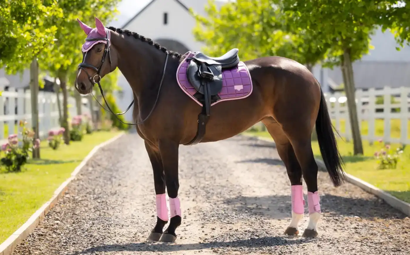 LeMieux SS26 Loire Collection Mallow