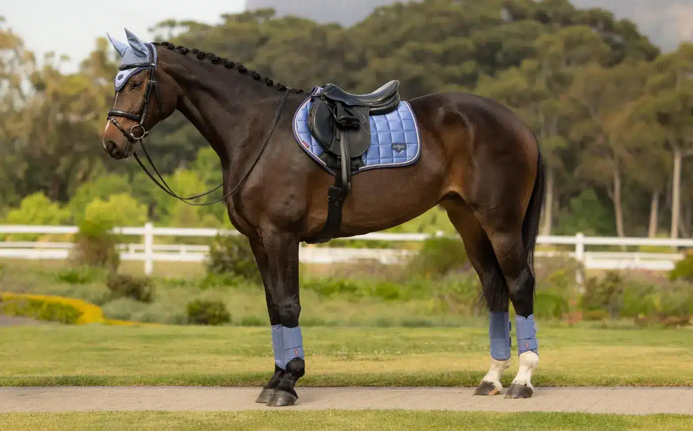 LeMieux SS26 Loire Collection Powder Blue