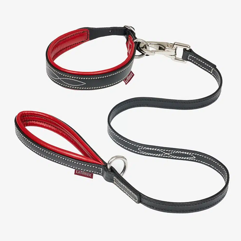 LeMieux Toy Dog Collar & Lead Chilli