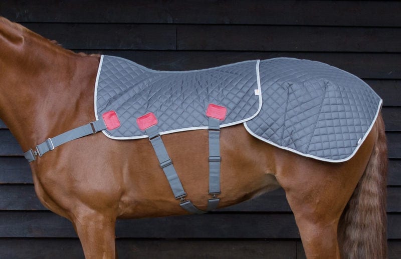 Equilibrium New Therapy Back & Quarters Pad
