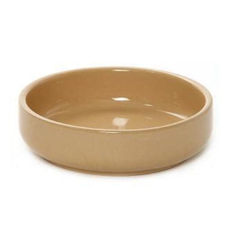 Mason Pot Cat Drinking Saucer