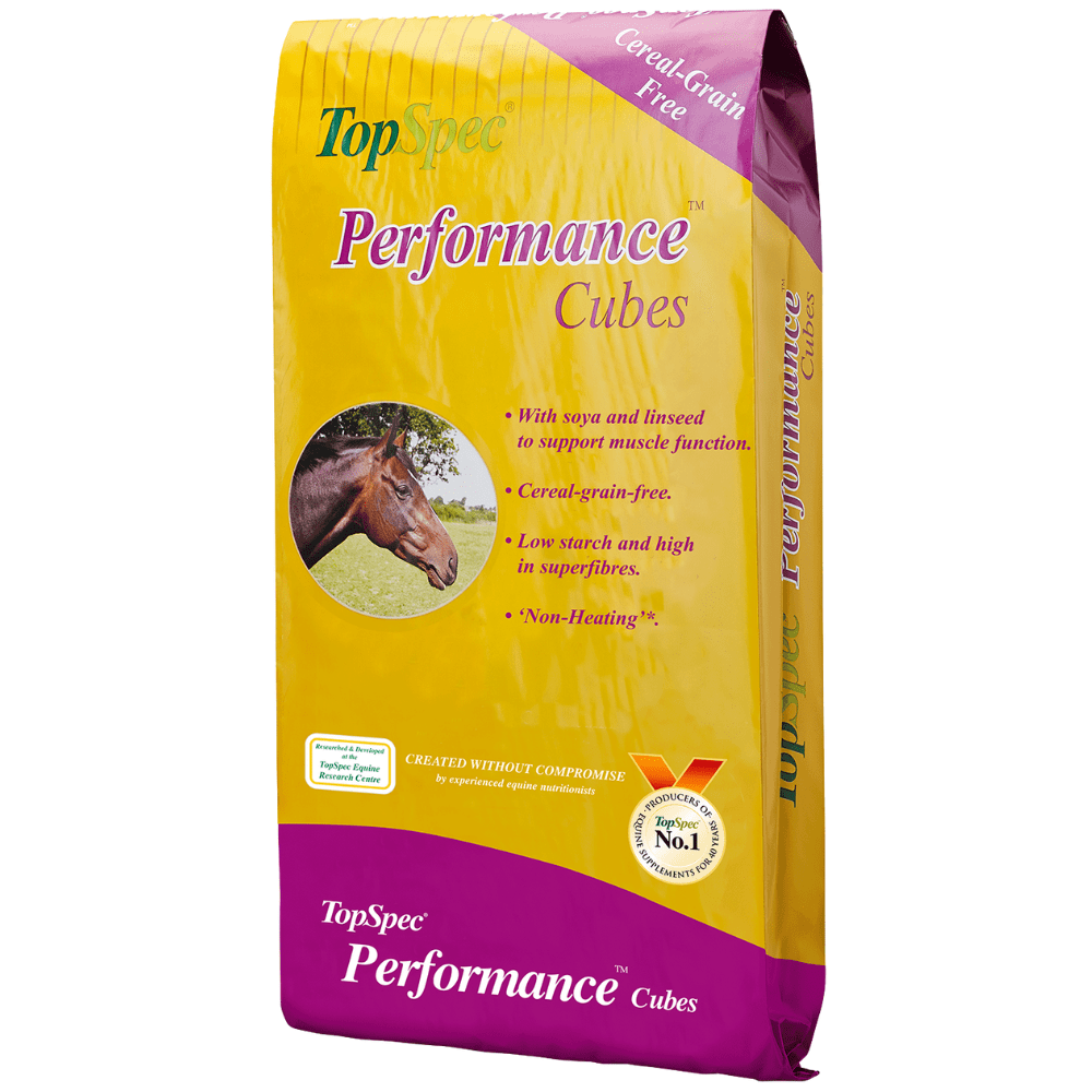 Topspec Performance Cubes 20kg